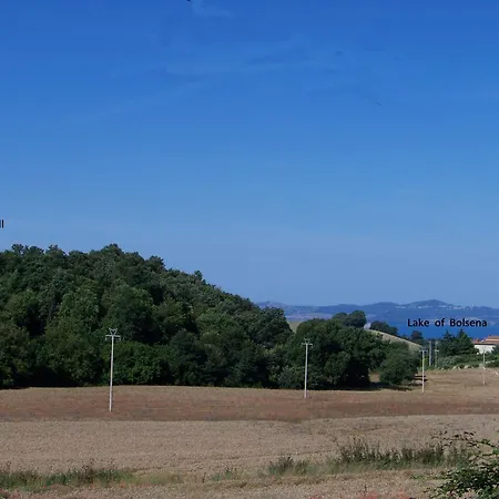 Collina Delle Rose *