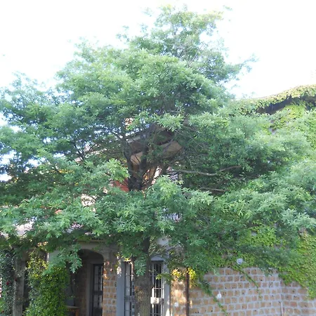 Collina Delle Rose וילה באנורג'יו